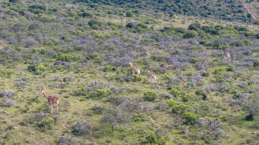 5 Bedroom Property for Sale in Grahamstown Rural Eastern Cape